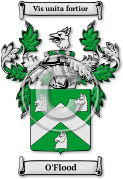 O'Flood Family Crest Download (jpg) Legacy Series - 150 DPI