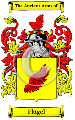 Flügel Family Crest/Coat of Arms