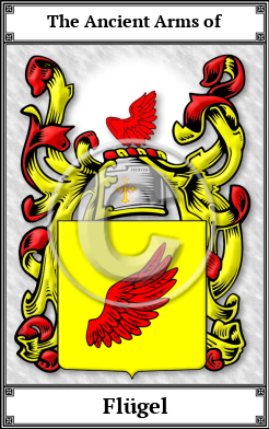 Flügel Family Crest Download (JPG) Book Plated - 600 DPI