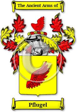 Pflugel Family Crest Download (jpg) Legacy Series - 150 DPI