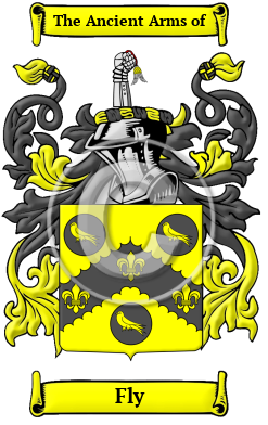 Fly Family Crest Download (JPG) Heritage Series - 600 DPI