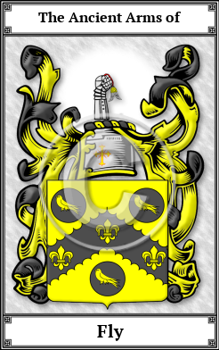 Fly Family Crest Download (JPG)  Book Plated - 150 DPI