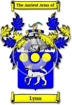 Lynn Family Crest Download (JPG) Legacy Series - 600 DPI