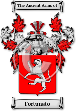 Fortunato Family Crest Download (jpg) Legacy Series - 150 DPI