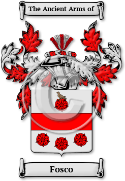 Fosco Family Crest Download (jpg) Legacy Series - 150 DPI