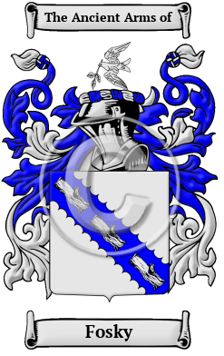 Fosky Family Crest Download (JPG) Heritage Series - 600 DPI