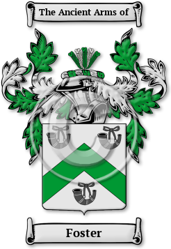 Foster Family Crest Download (jpg) Legacy Series - 150 DPI