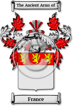 France Family Crest Download (jpg) Legacy Series - 150 DPI