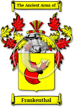 Frankenthal Family Crest Download (JPG) Legacy Series - 600 DPI