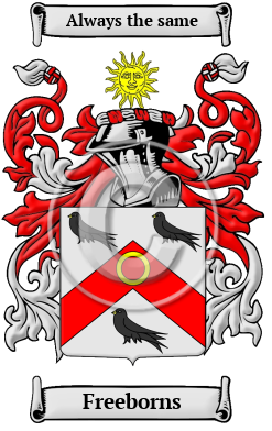 Freeborns Family Crest Download (JPG) Heritage Series - 600 DPI