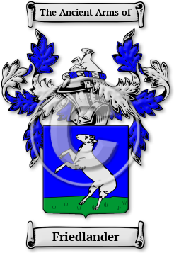 Friedlander Family Crest Download (jpg) Legacy Series - 150 DPI