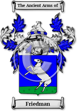 Friedman Family Crest Download (jpg) Legacy Series - 150 DPI