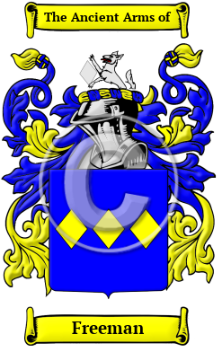 Freeman Family Crest Download (JPG) Heritage Series - 600 DPI