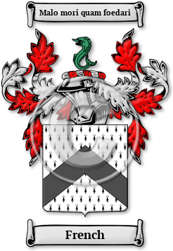 French Family Crest Download (jpg) Legacy Series - 150 DPI