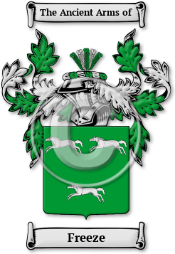 Freeze Family Crest Download (jpg) Legacy Series - 150 DPI