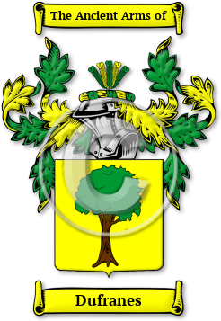 Dufranes Family Crest Download (jpg) Legacy Series - 150 DPI