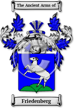 Friedenberg Family Crest Download (JPG) Legacy Series - 600 DPI