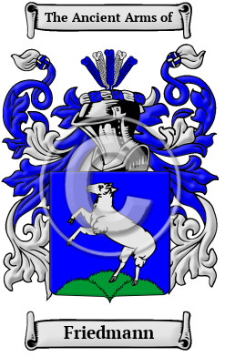 Friedmann Family Crest Download (JPG) Heritage Series - 600 DPI