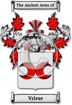 Vriese Family Crest Download (jpg) Legacy Series - 150 DPI