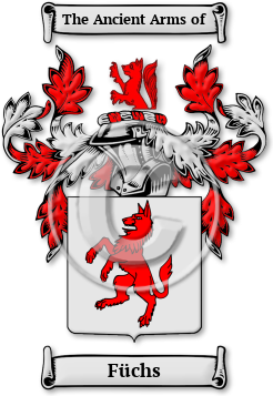 Füchs Family Crest Download (JPG) Legacy Series - 600 DPI