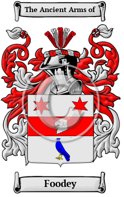 Foodey Family Crest/Coat of Arms
