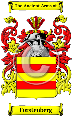 Forstenberg Name Meaning, Family History, Family Crest & Coats of Arms