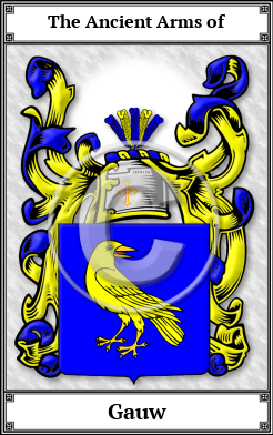 Gauw Family Crest Download (JPG)  Book Plated - 150 DPI