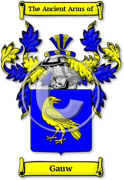 Gauw Family Crest Download (jpg) Legacy Series - 150 DPI