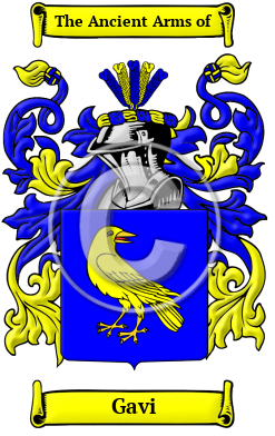 Gavi Family Crest Download (JPG) Heritage Series - 600 DPI