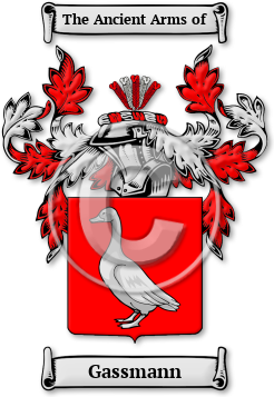 Gassmann Family Crest Download (JPG) Legacy Series - 600 DPI