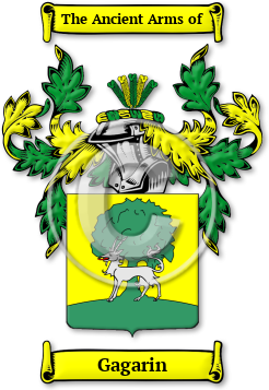 Gagarin Family Crest Download (JPG) Legacy Series - 600 DPI