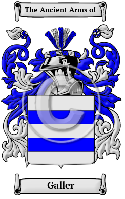 Galler Family Crest Download (JPG) Heritage Series - 600 DPI