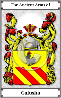 Galusha Family Crest Download (JPG) Book Plated - 600 DPI