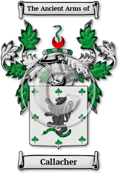 Callacher Family Crest Download (jpg) Legacy Series - 150 DPI