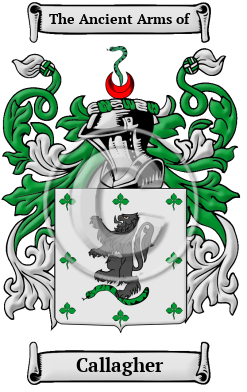 Callagher Family Crest/Coat of Arms
