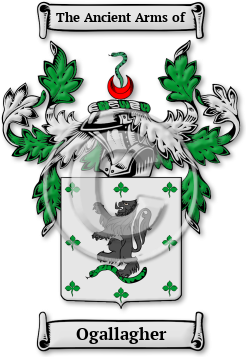 Ogallagher Family Crest Download (JPG) Legacy Series - 600 DPI