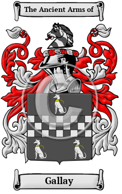 Gallay Family Crest/Coat of Arms