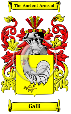 Galli Family Crest Download (jpg) Heritage Series - 150 DPI