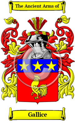 Gallice Family Crest/Coat of Arms