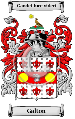 Galton Family Crest Download (JPG) Heritage Series - 600 DPI