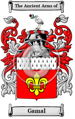 Gamal Family Crest Download (JPG) Heritage Series - 600 DPI