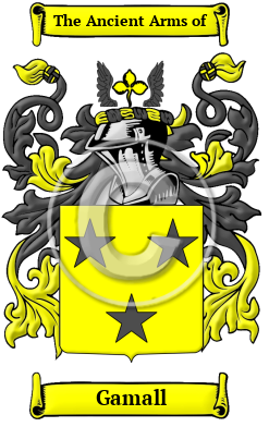 Gamall Family Crest Download (JPG) Heritage Series - 600 DPI