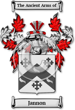 Jannon Family Crest Download (jpg) Legacy Series - 150 DPI