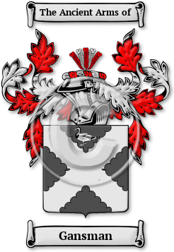 Gansman Family Crest Download (jpg) Legacy Series - 150 DPI