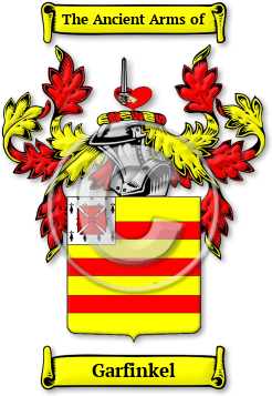 Garfinkel Family Crest Download (jpg) Legacy Series - 150 DPI