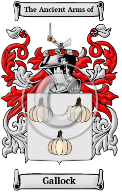 Gallock Family Crest Download (JPG) Heritage Series - 600 DPI