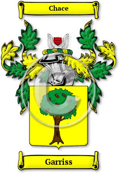 Garriss Family Crest Download (jpg) Legacy Series - 150 DPI