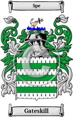 Gateskill Family Crest/Coat of Arms