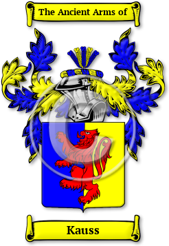 Kauss Family Crest Download (jpg) Legacy Series - 150 DPI