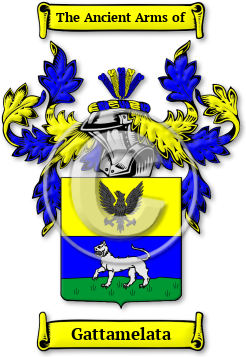 Gattamelata Family Crest Download (jpg) Legacy Series - 150 DPI